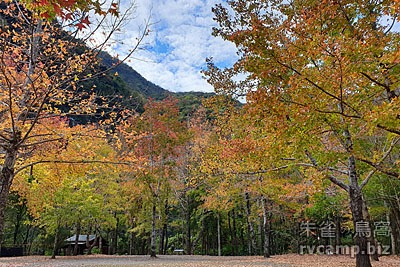 新竹尖石美樹營地 @定點露營